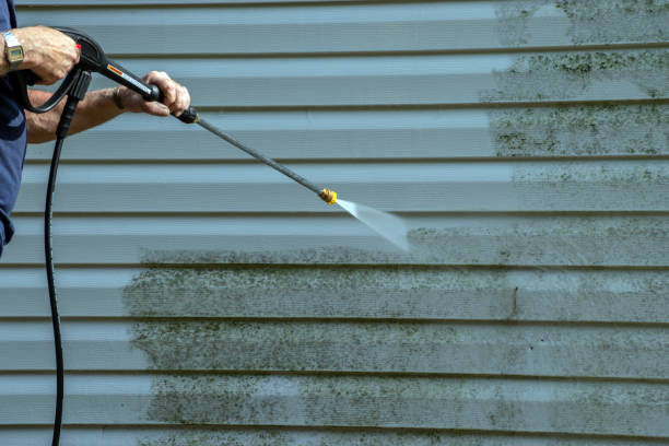 Trusted Doctor Phillips, FL Pressure Washing Experts