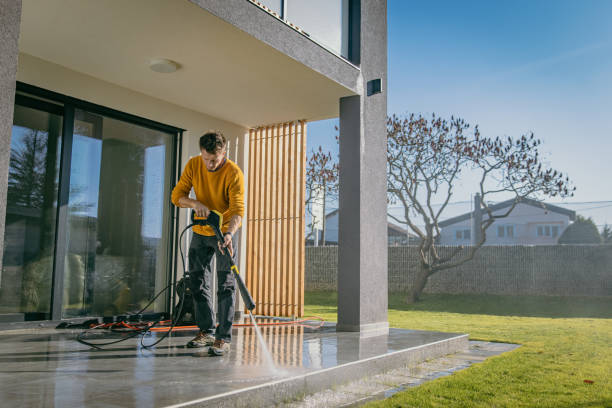 Best Sidewalk and Walkway Cleaning  in Doctor Phillips, FL
